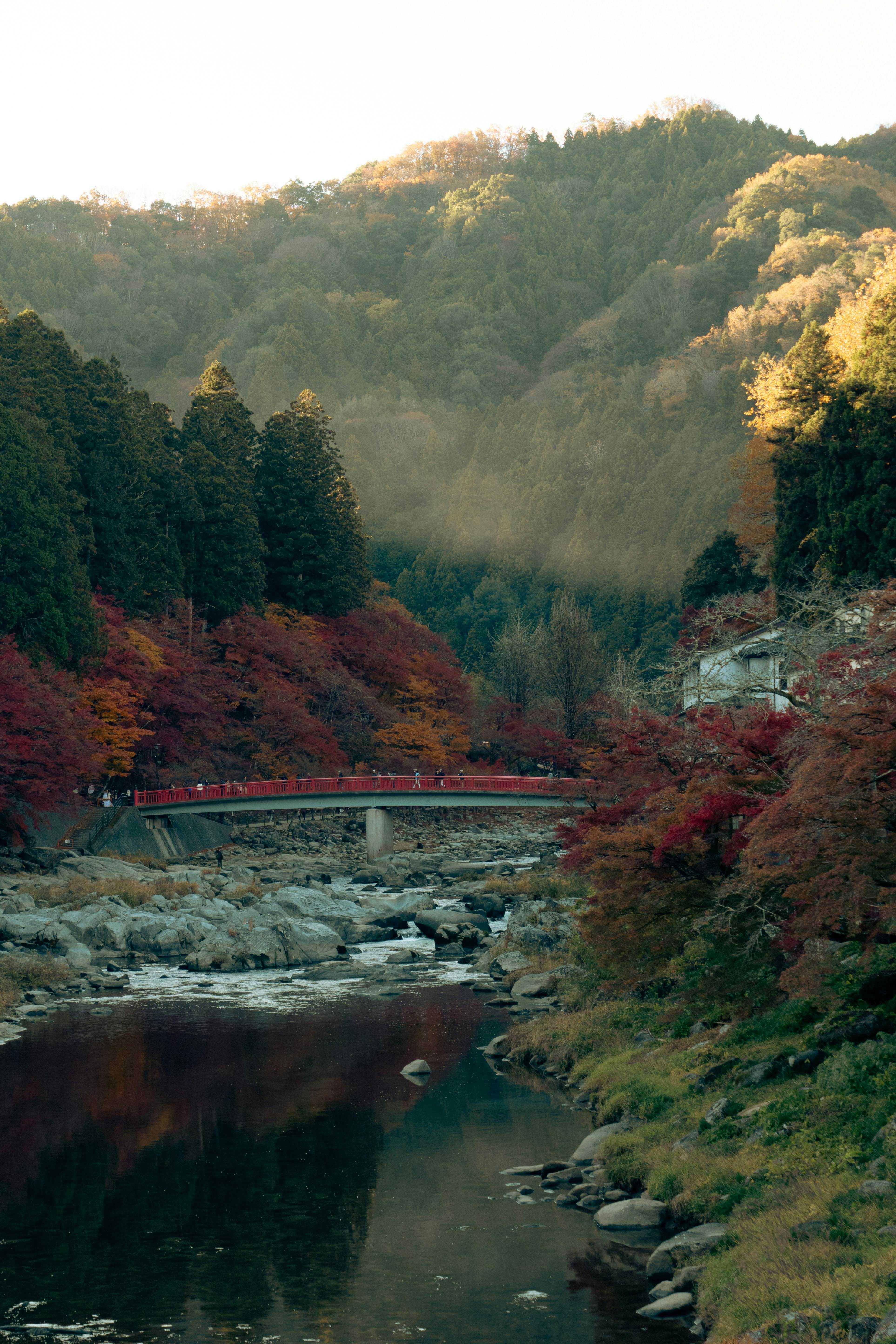 Aichi