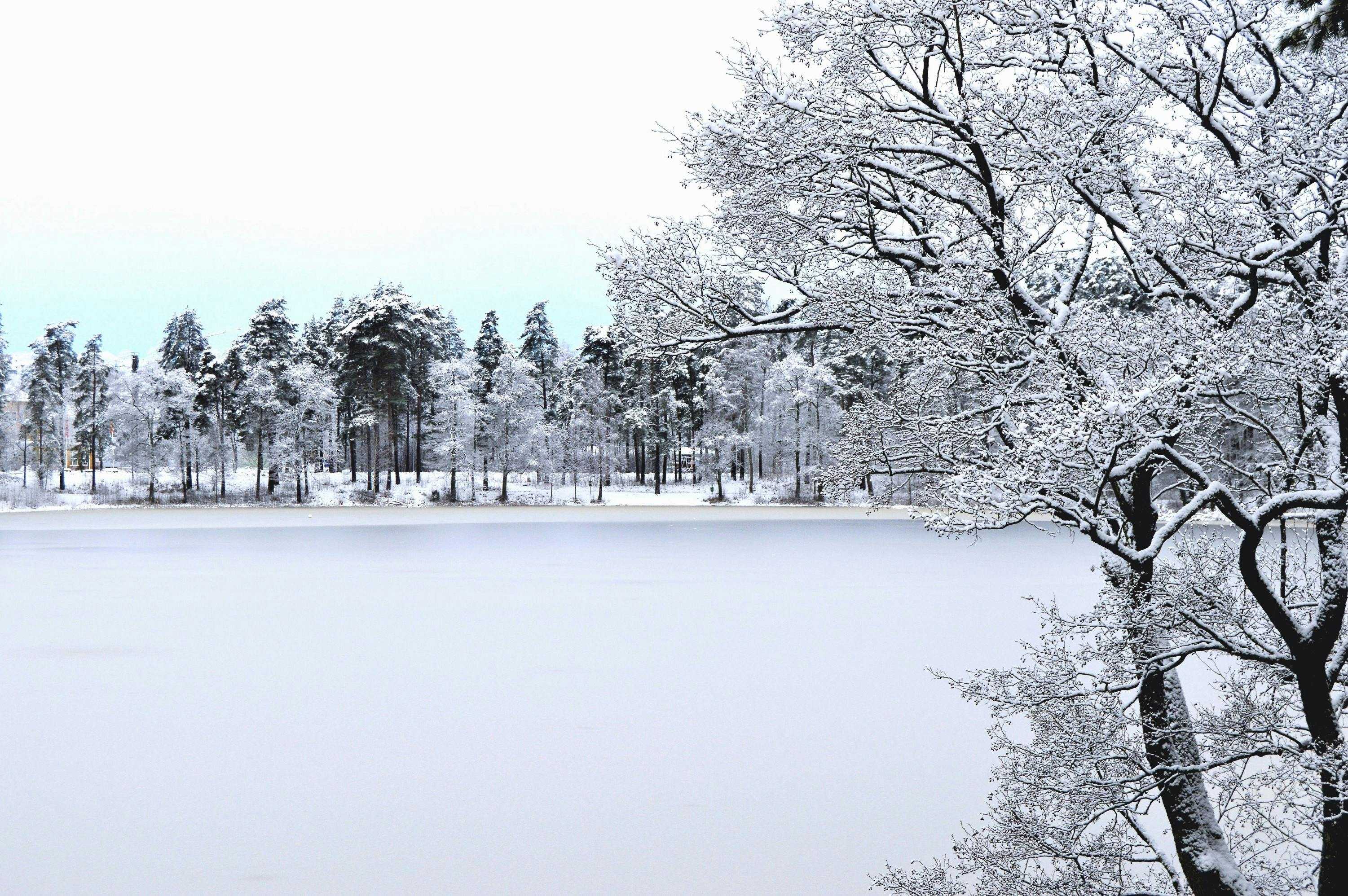 Alajärvi