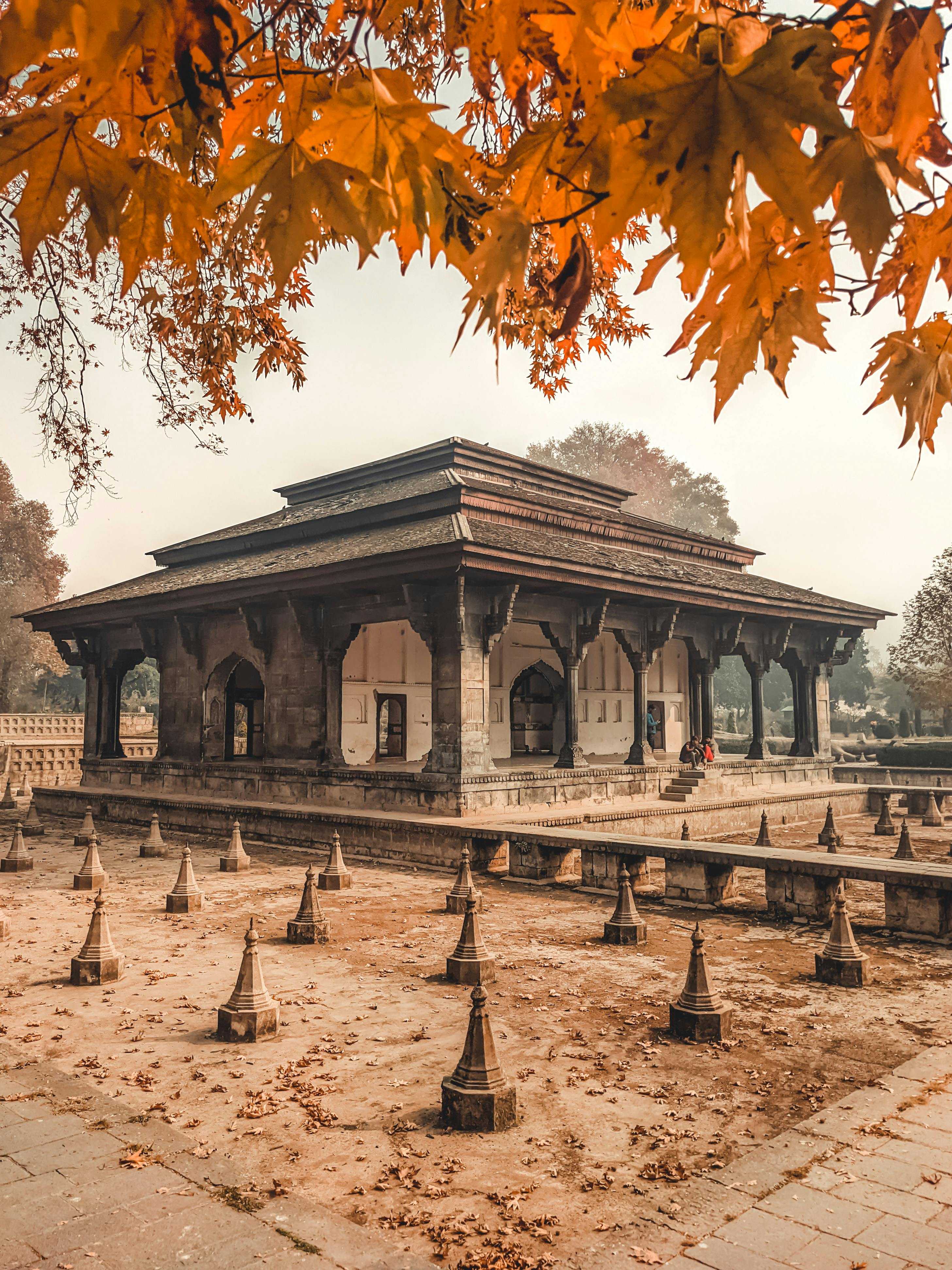 Bagh