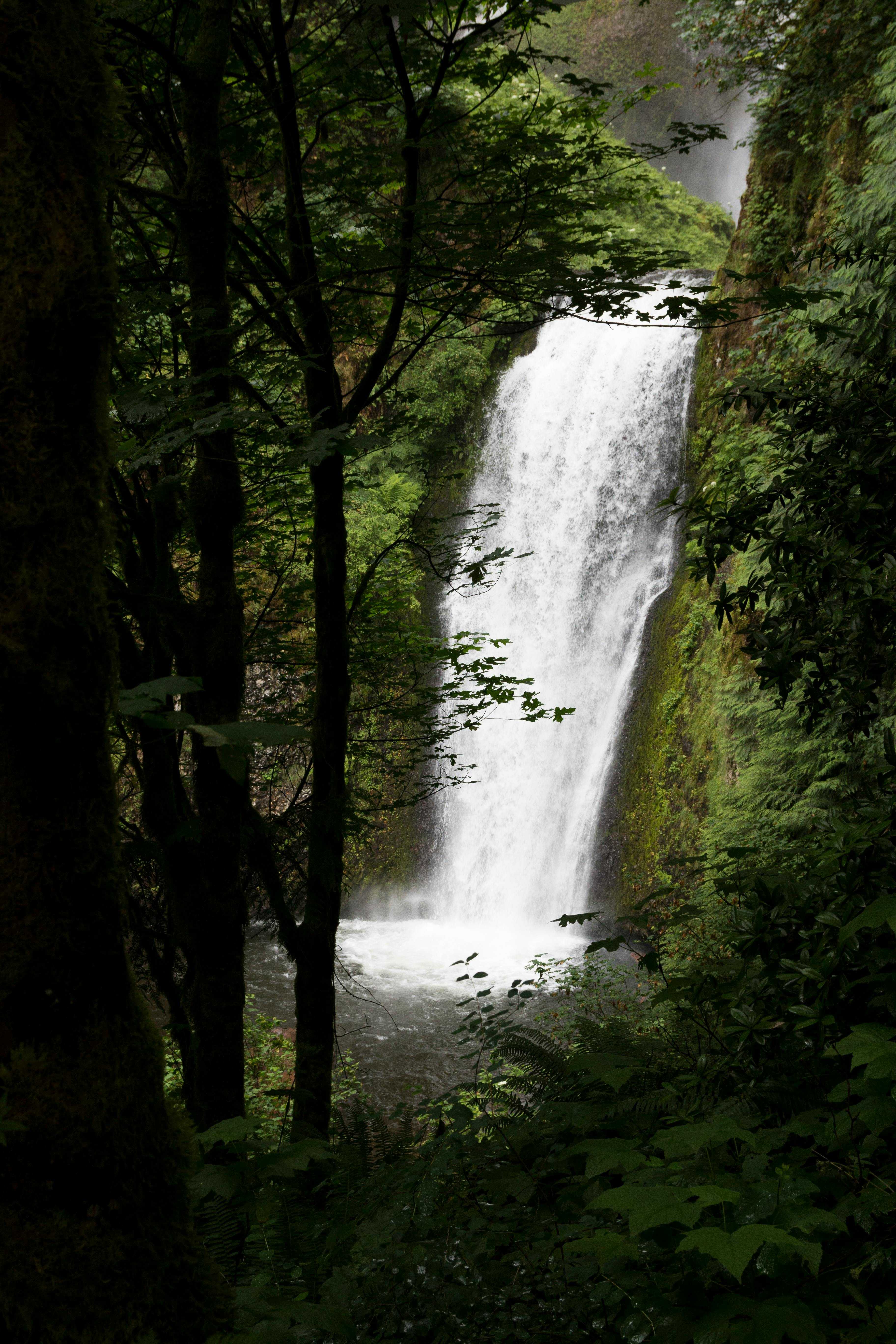 Beaverton