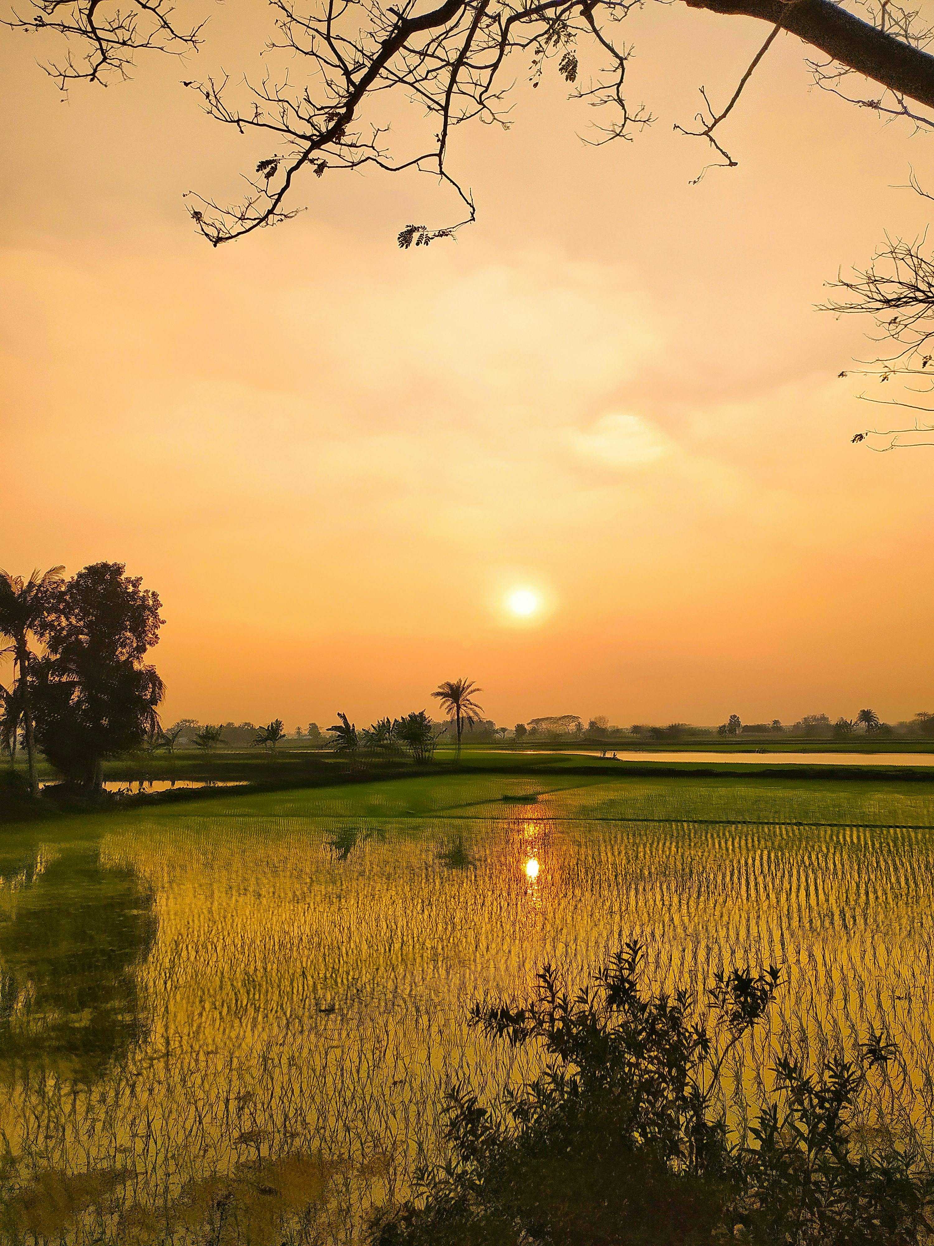 Bhāndāria