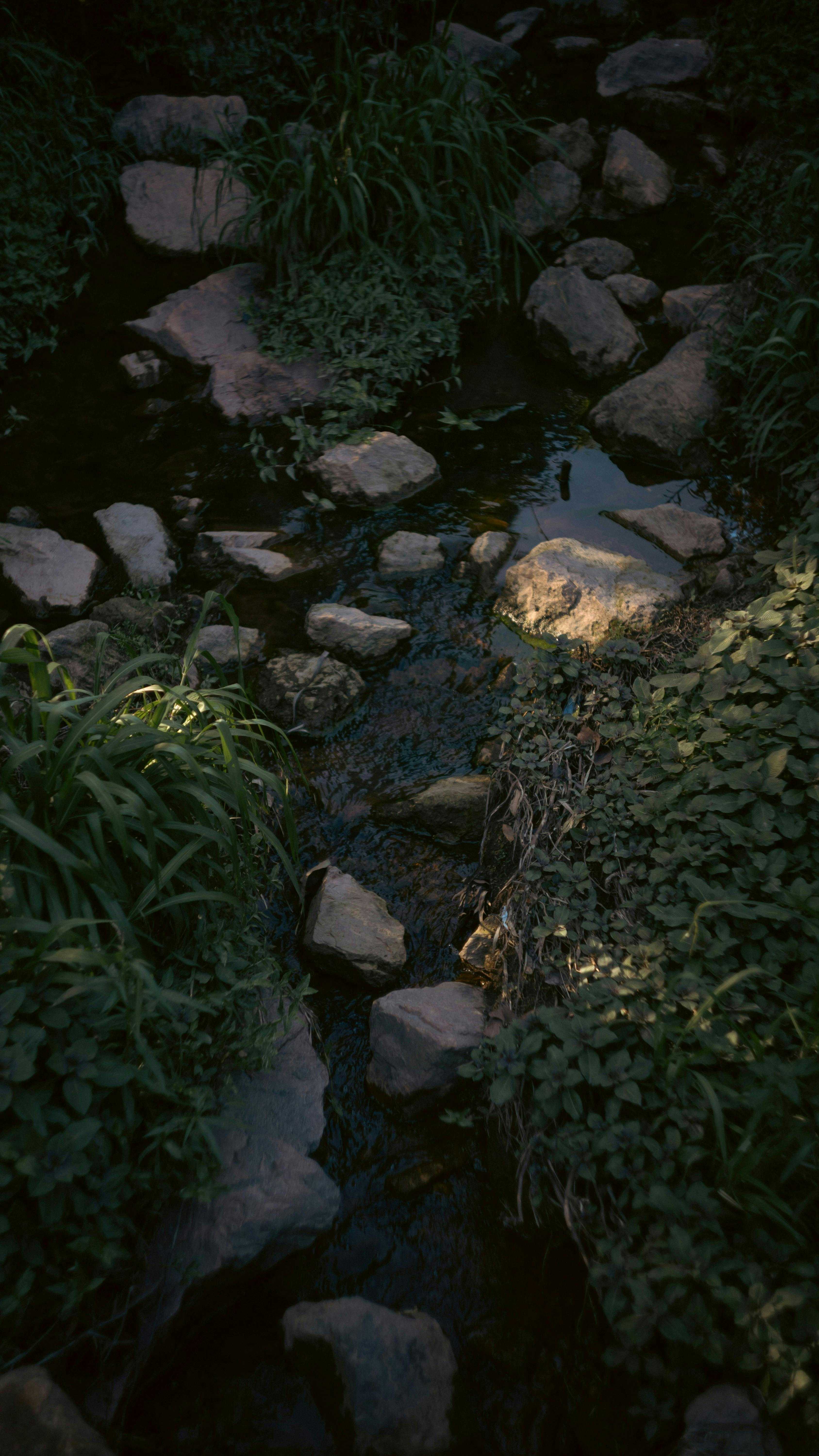 Brook Park