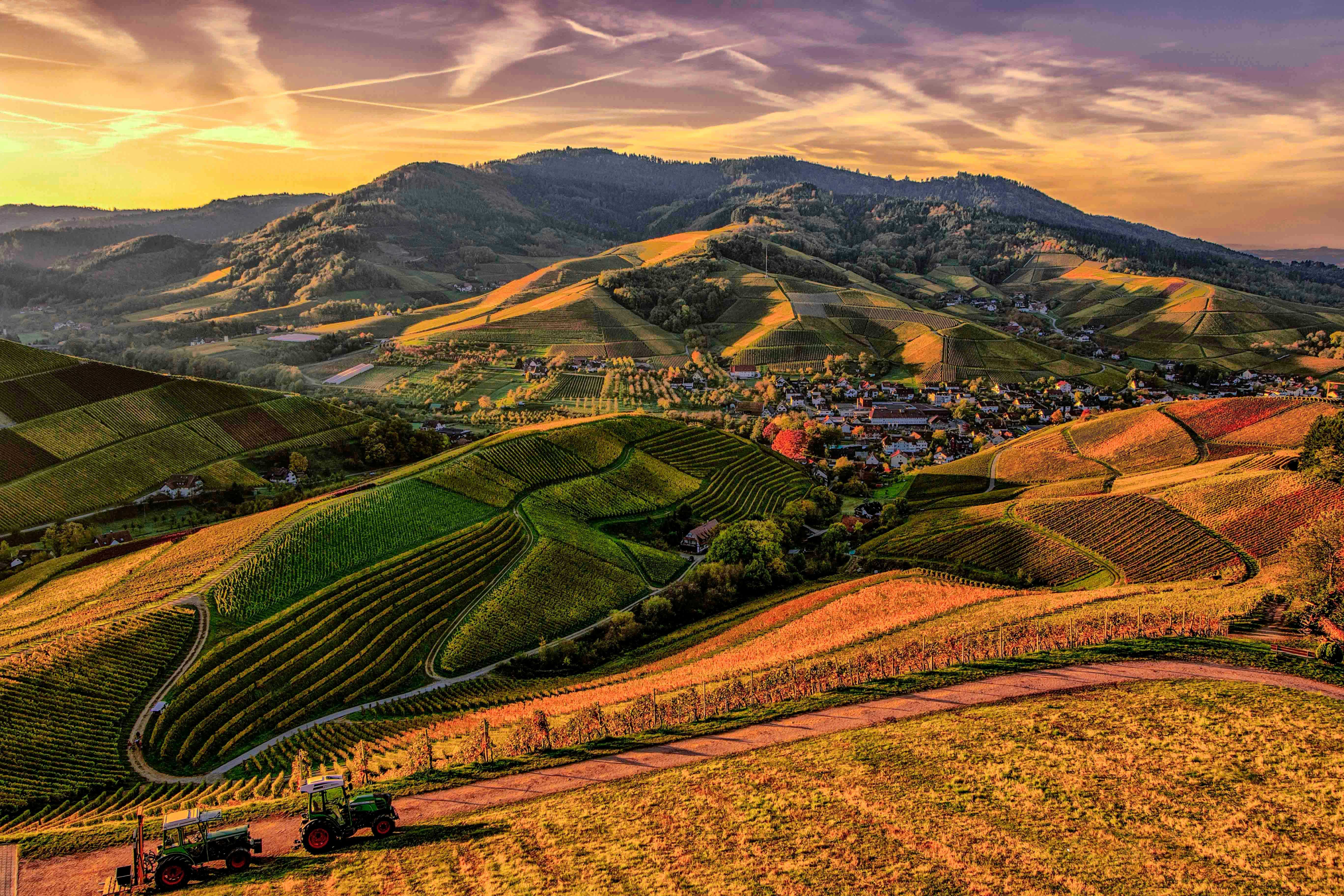 Golden Hills