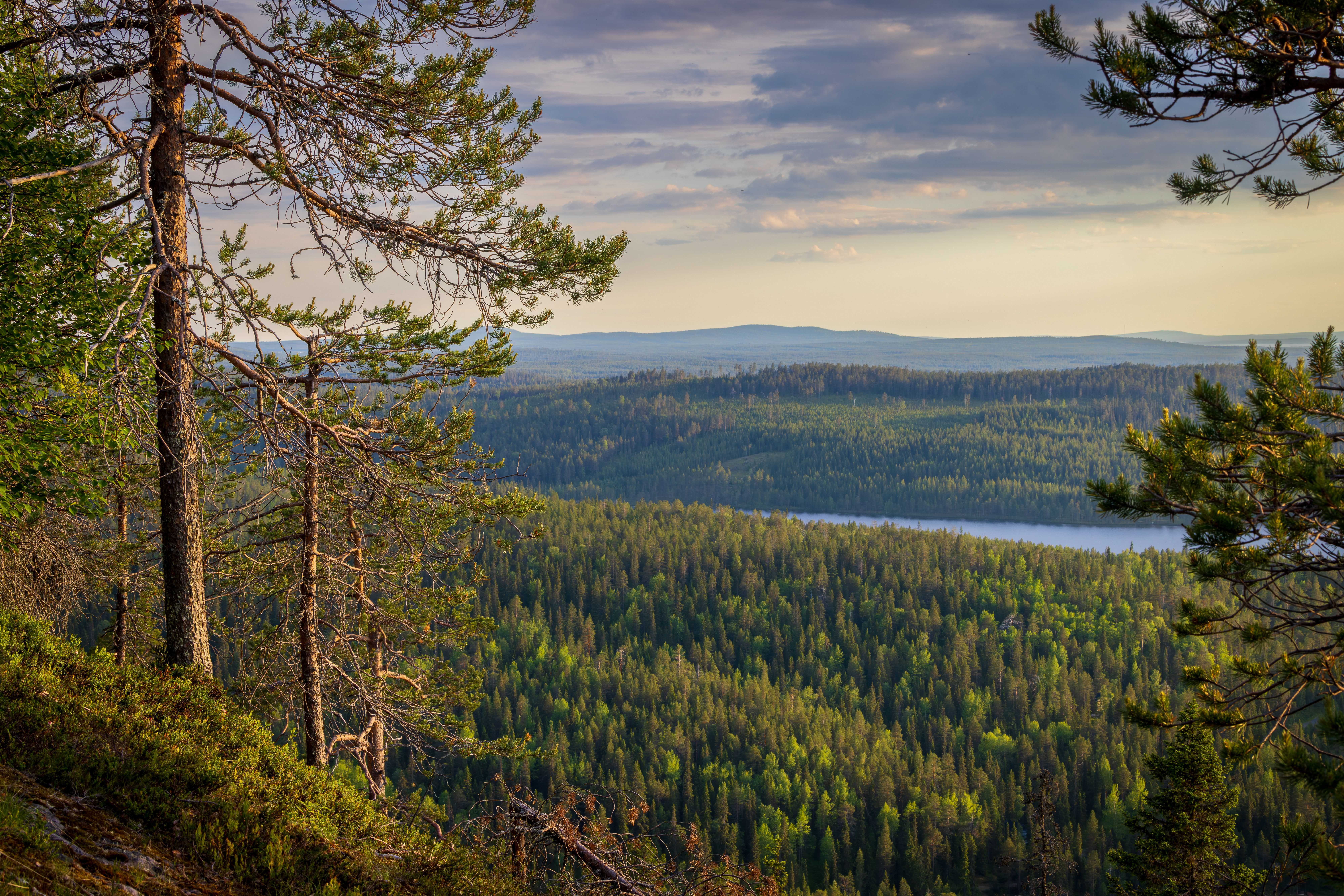 Kuusamo