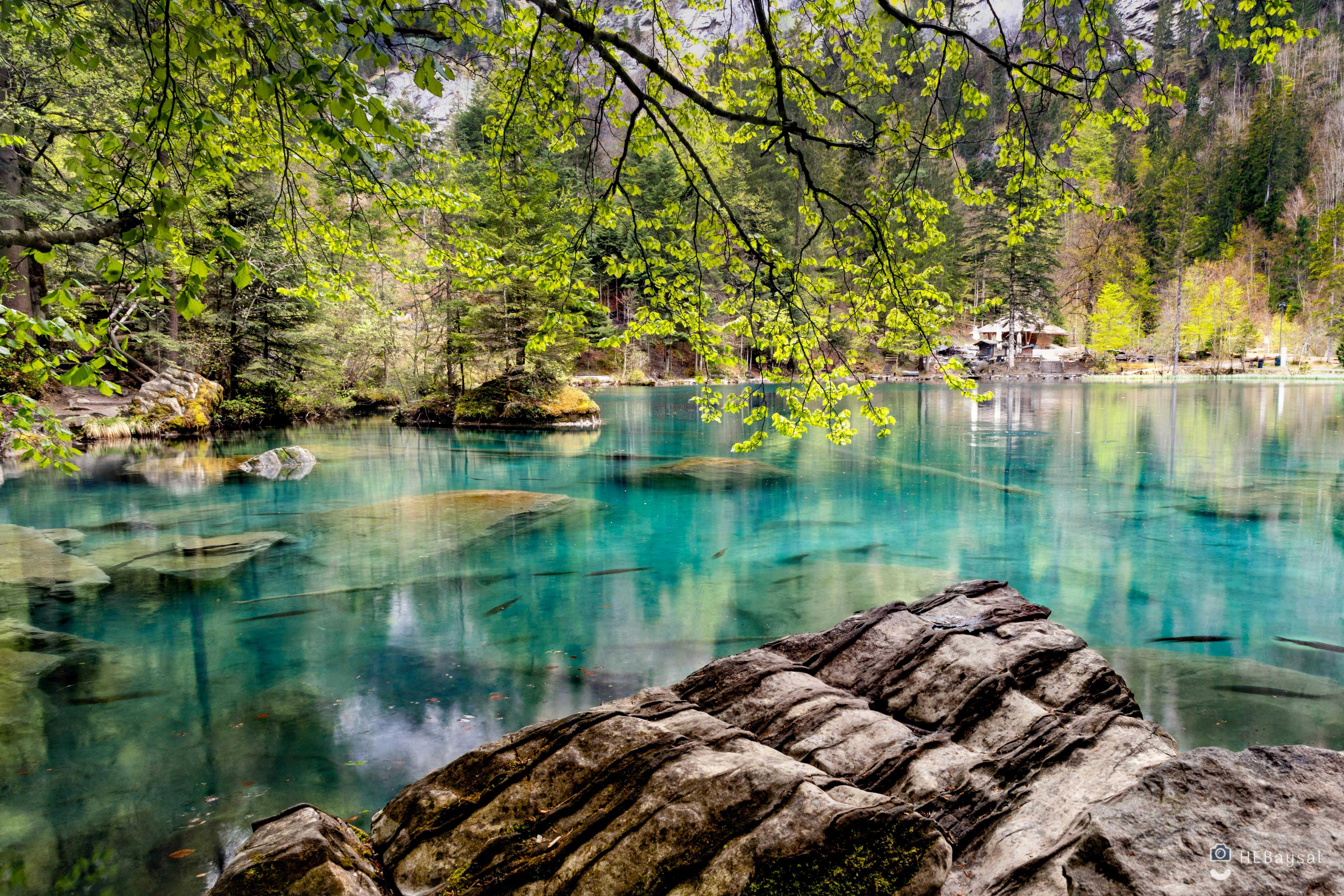 Lake Grove