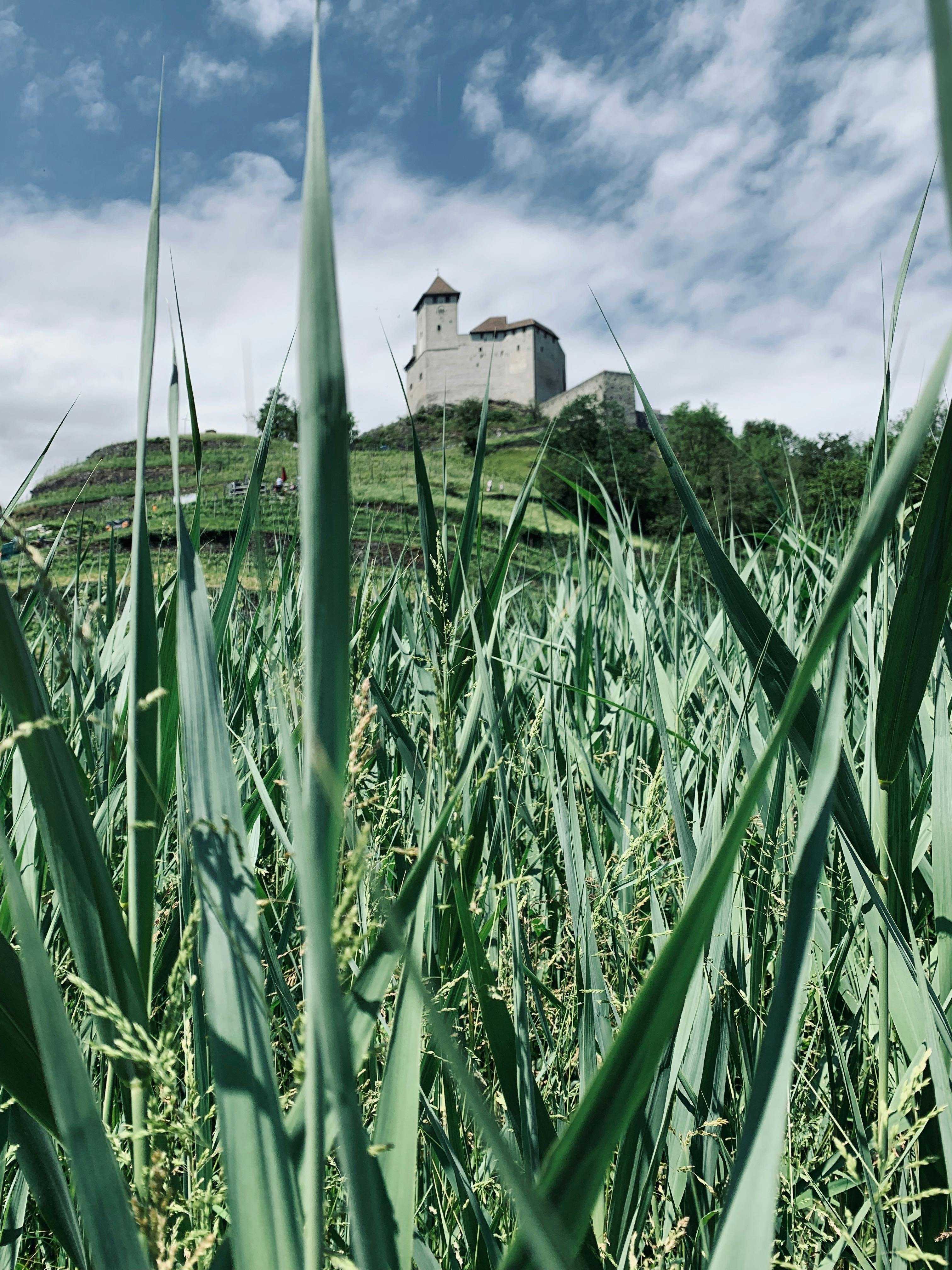 Liechtenstein