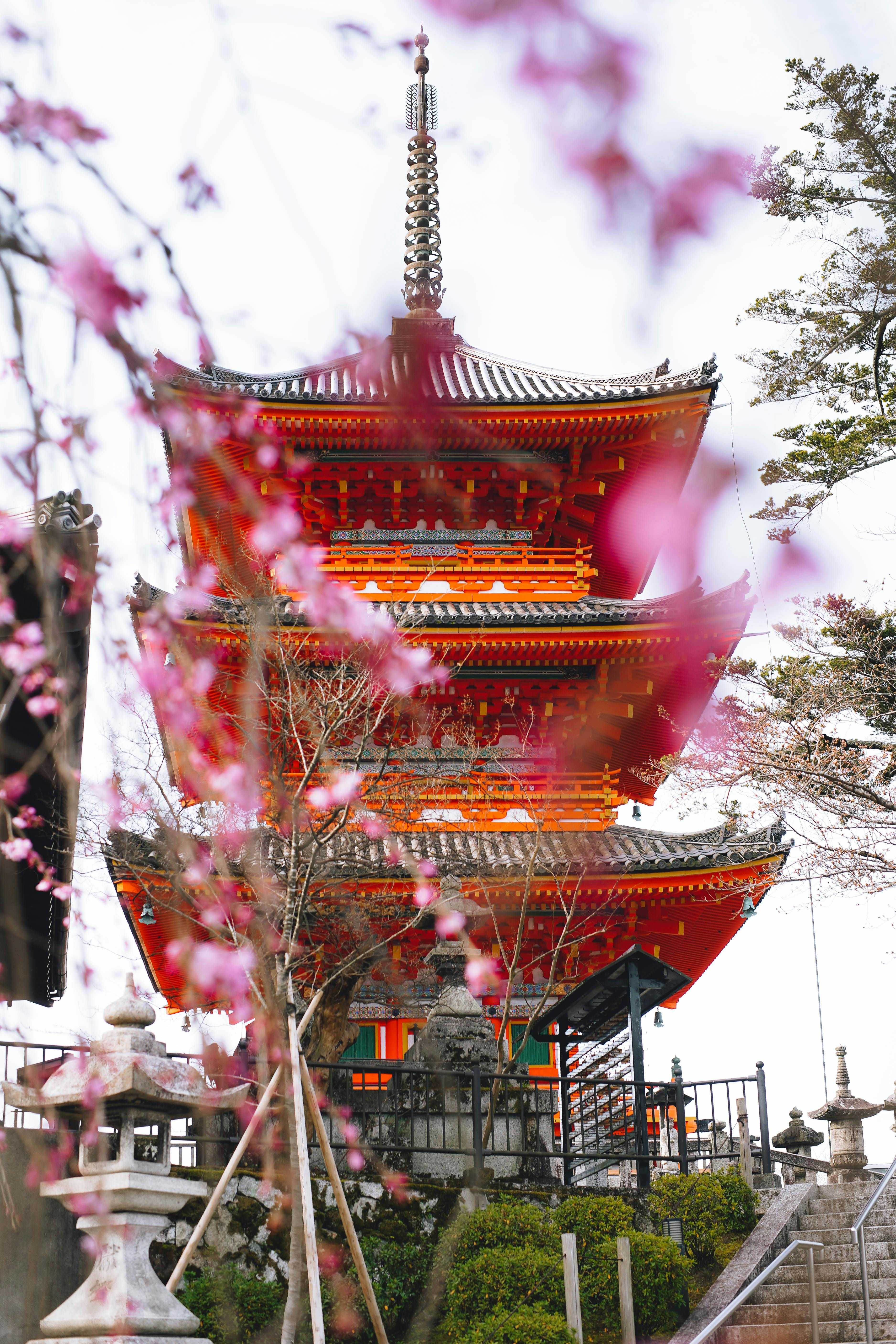 Minamiminowa