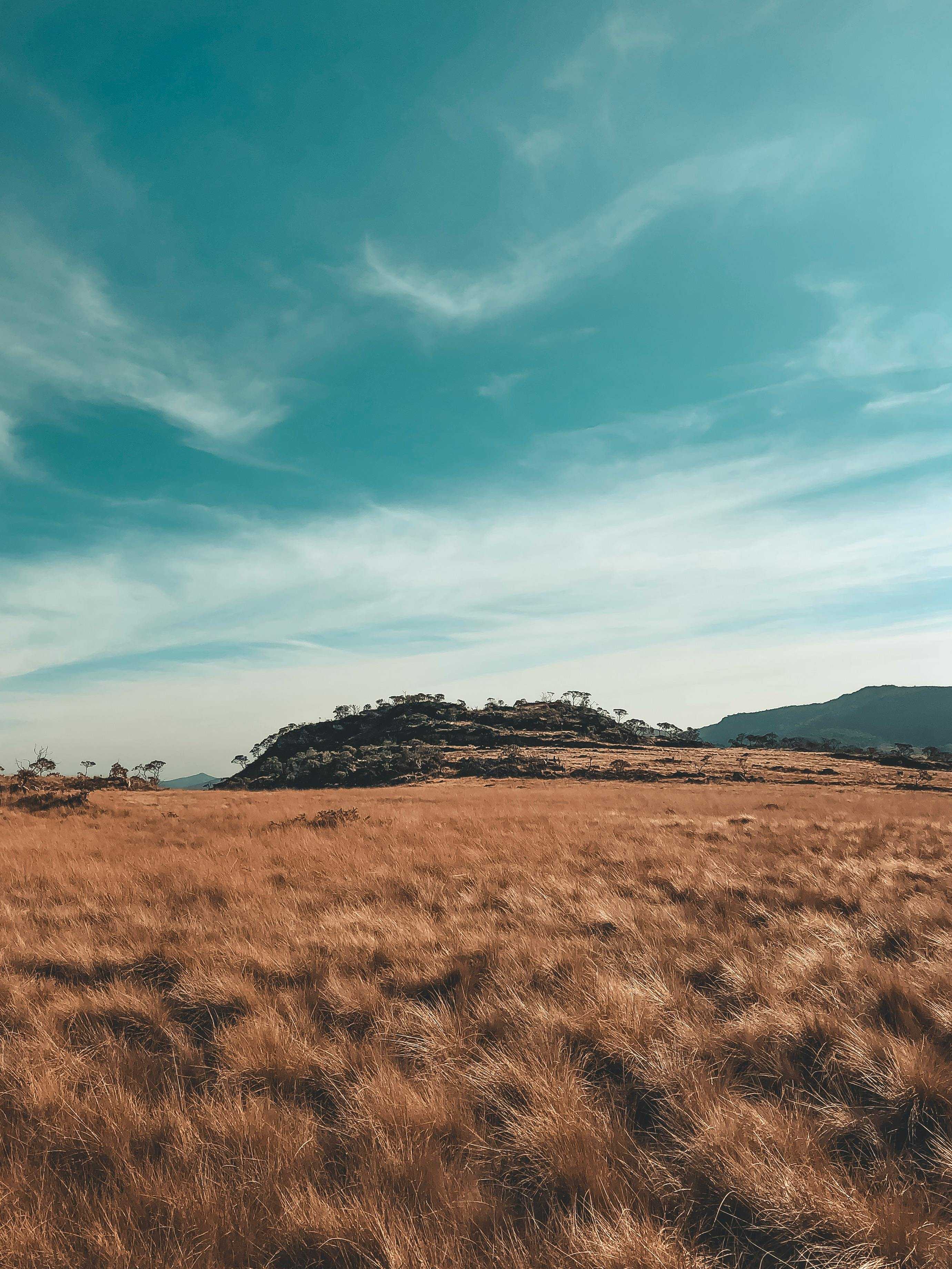 Minas Gerais