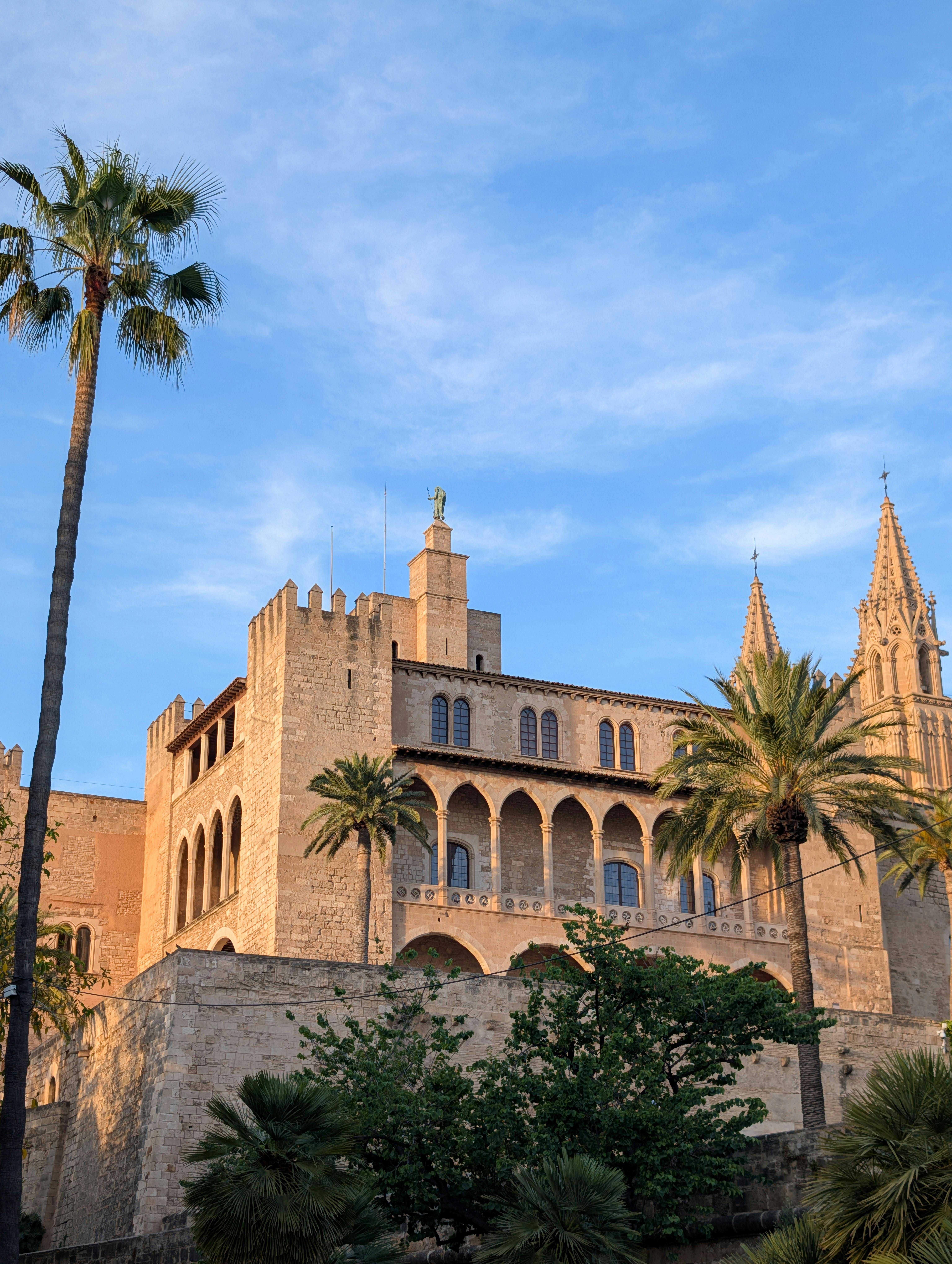Palma
