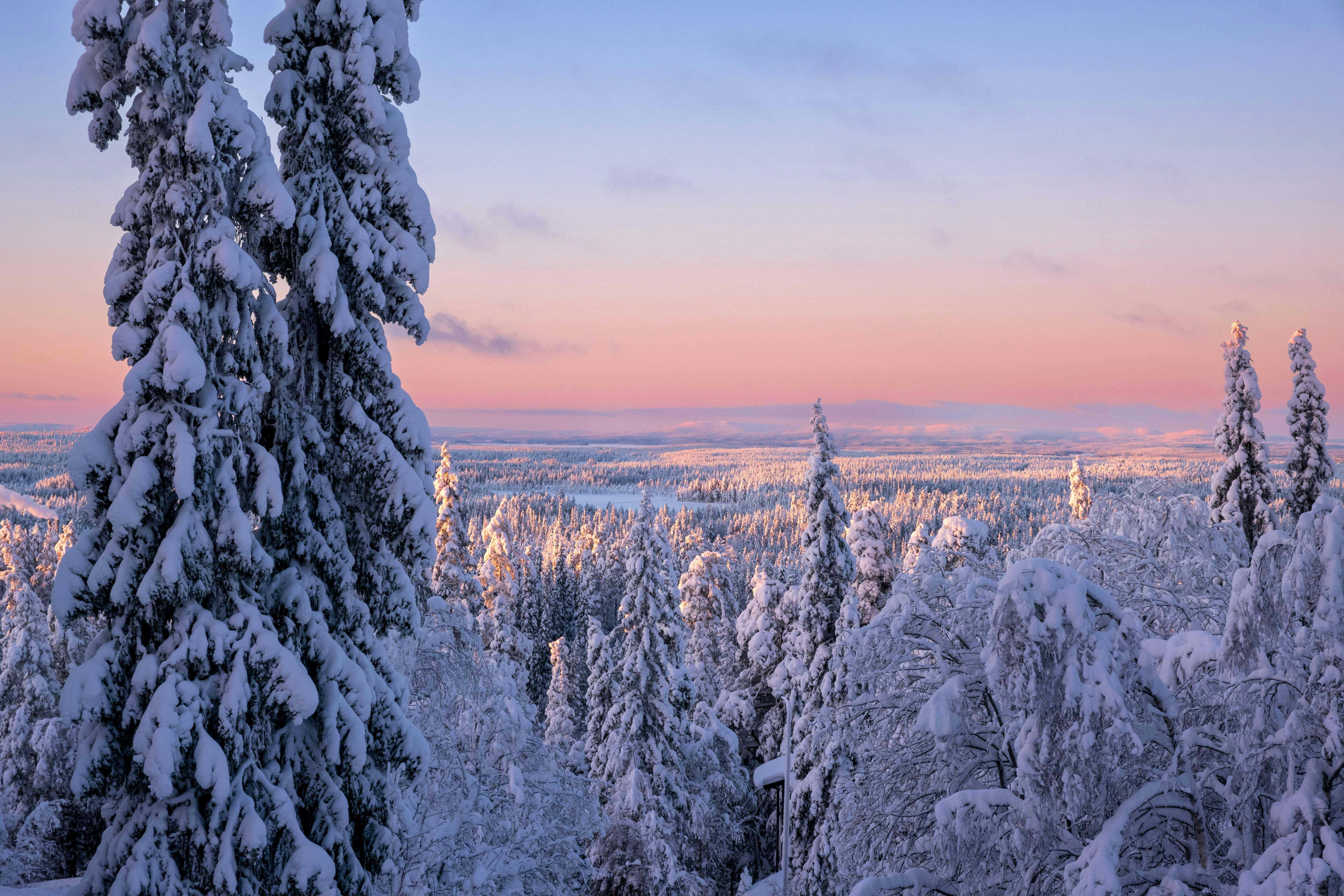 Pohjois-Karjala