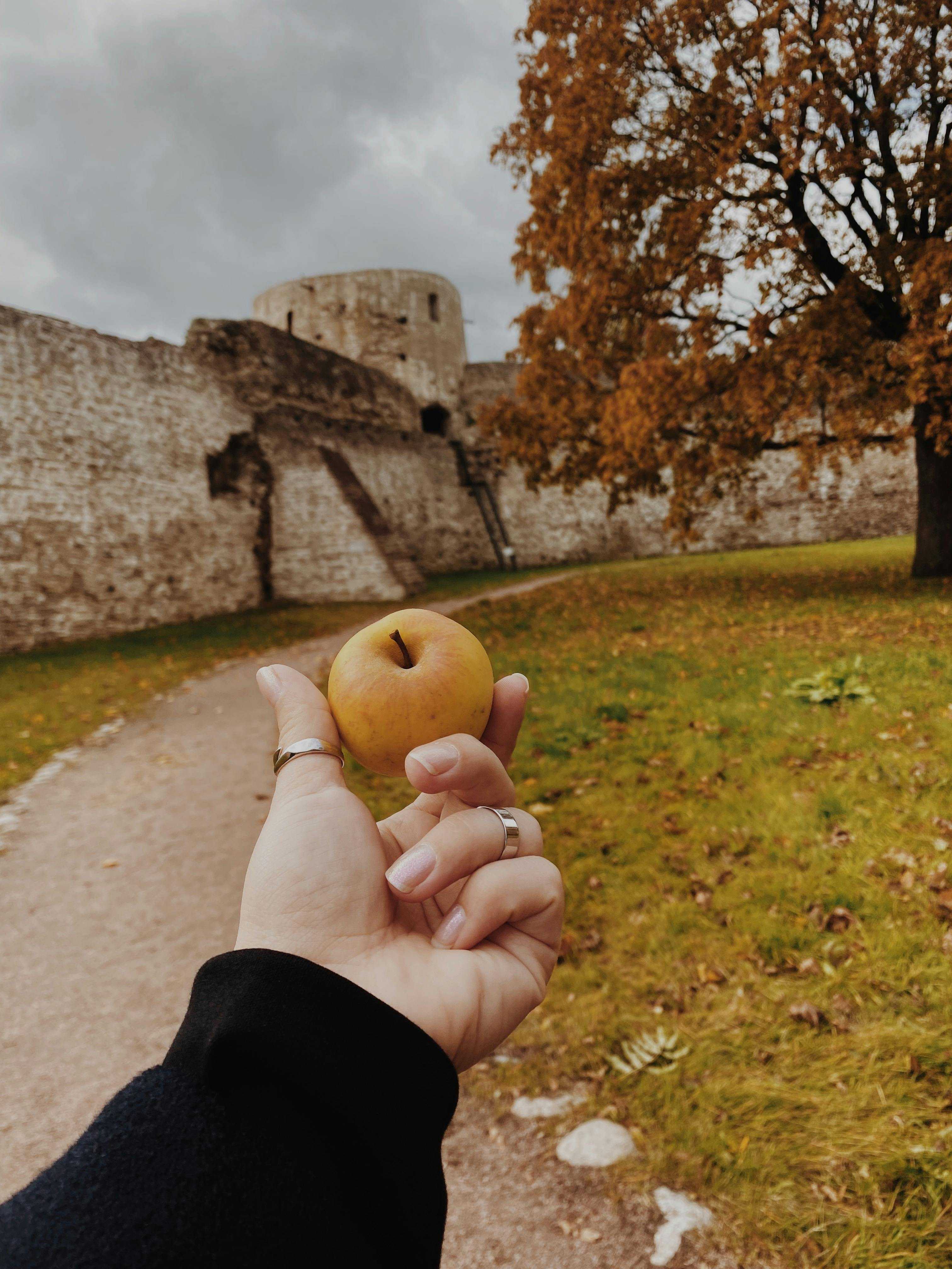 Pskov