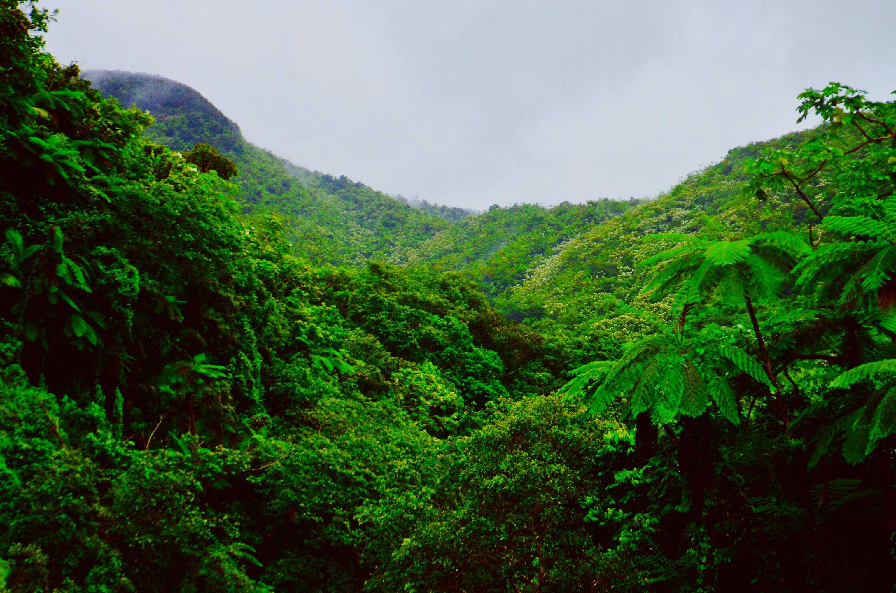 Puerto Nariño