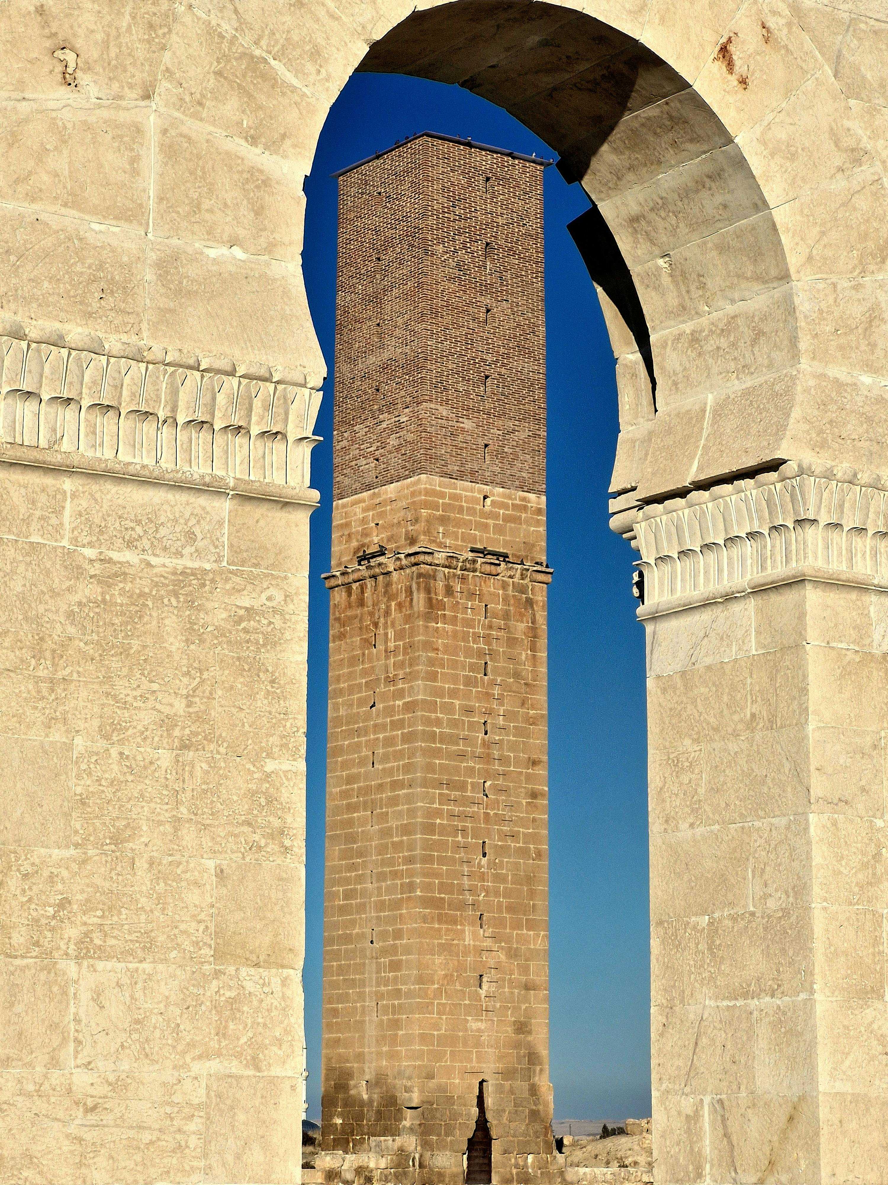 Şaydā