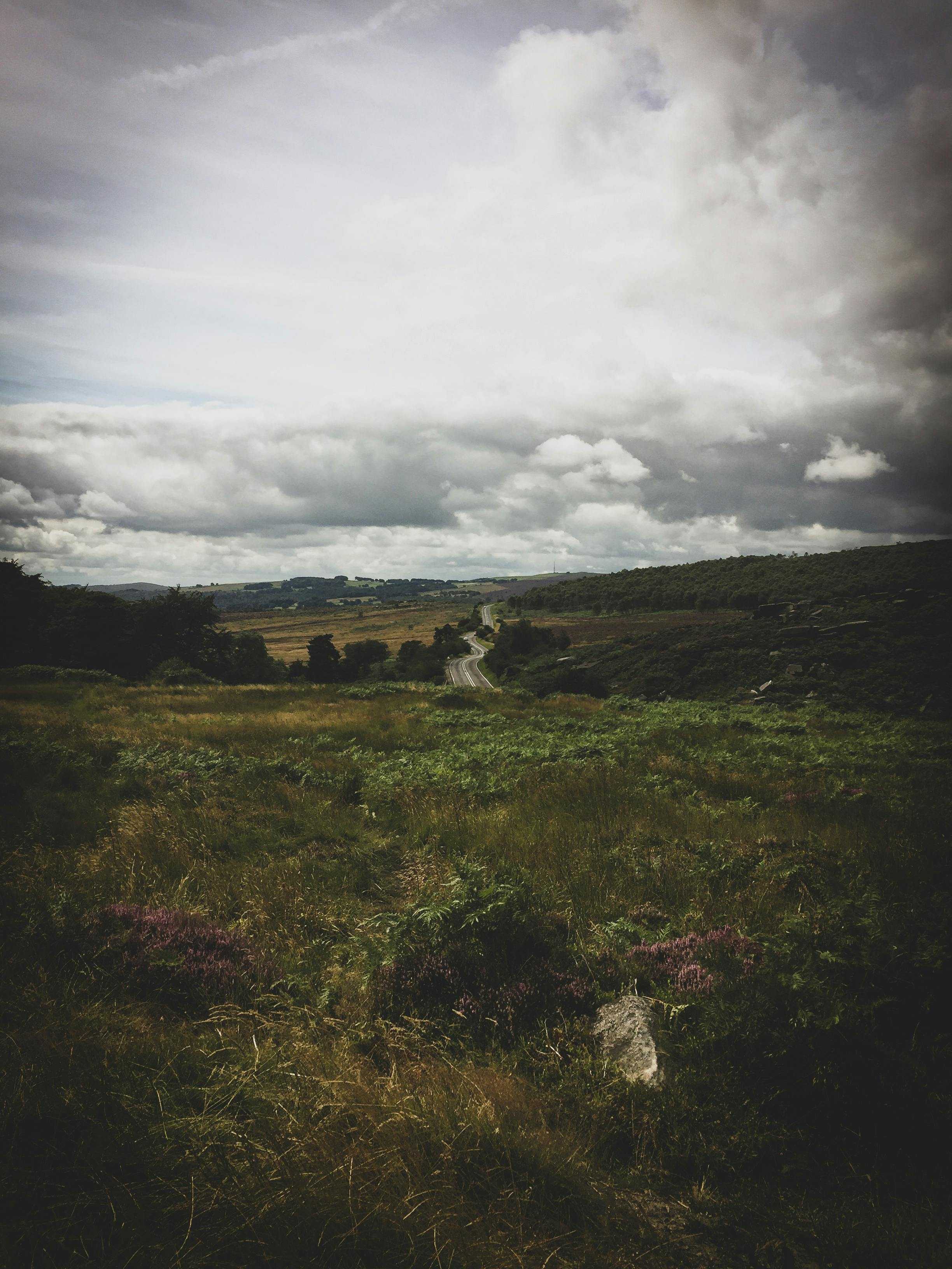 Sheffield