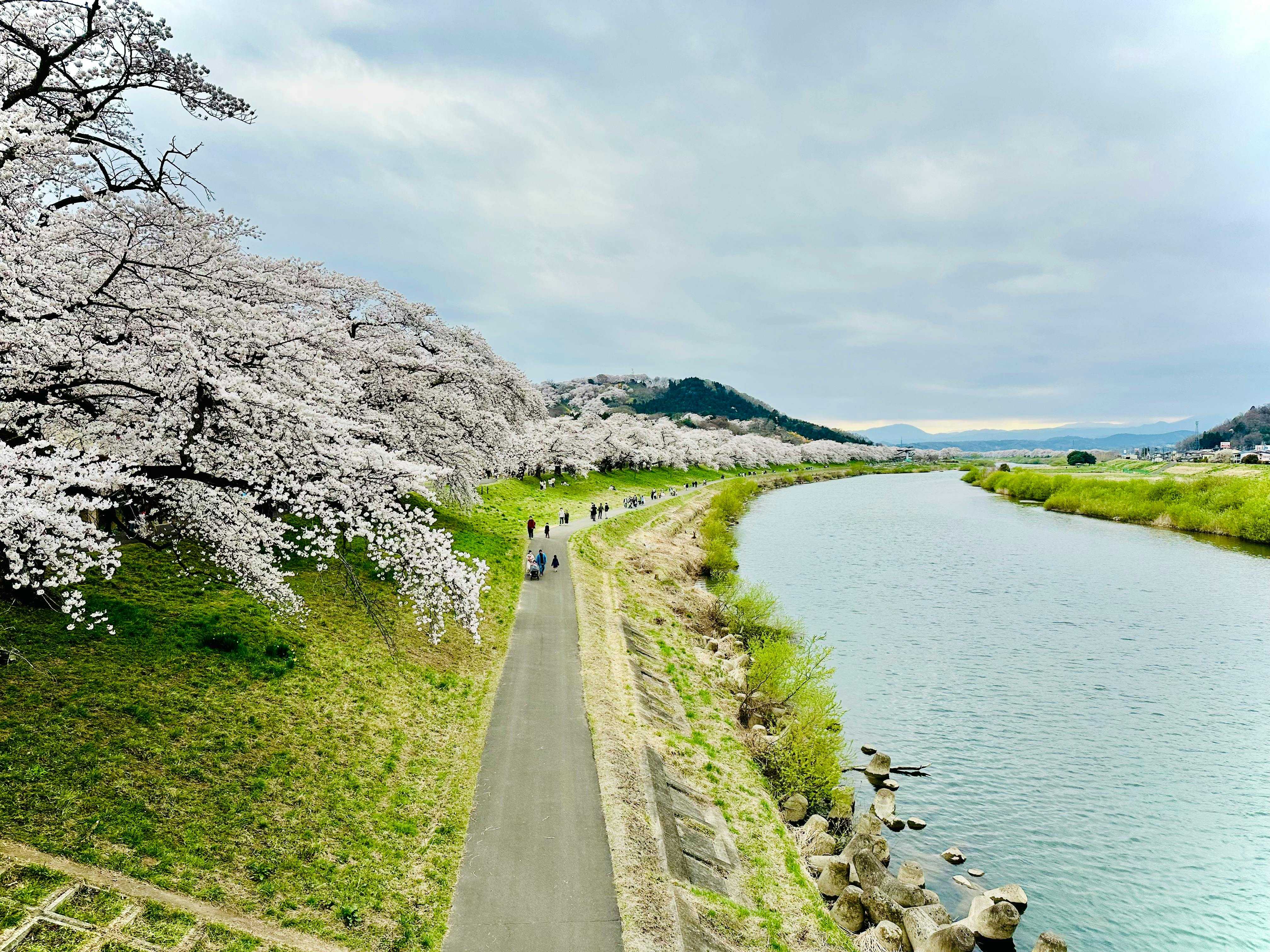 Shiroishi
