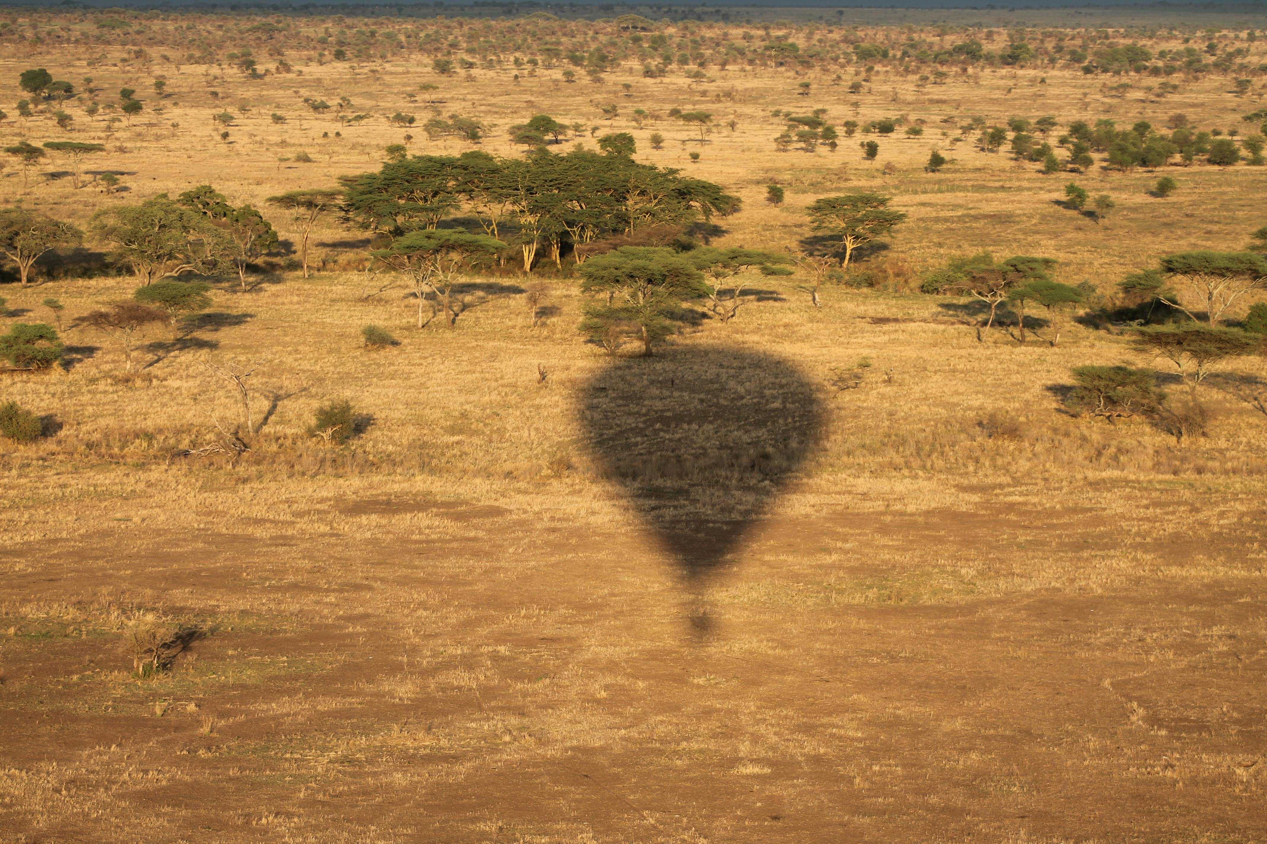 Tanzania