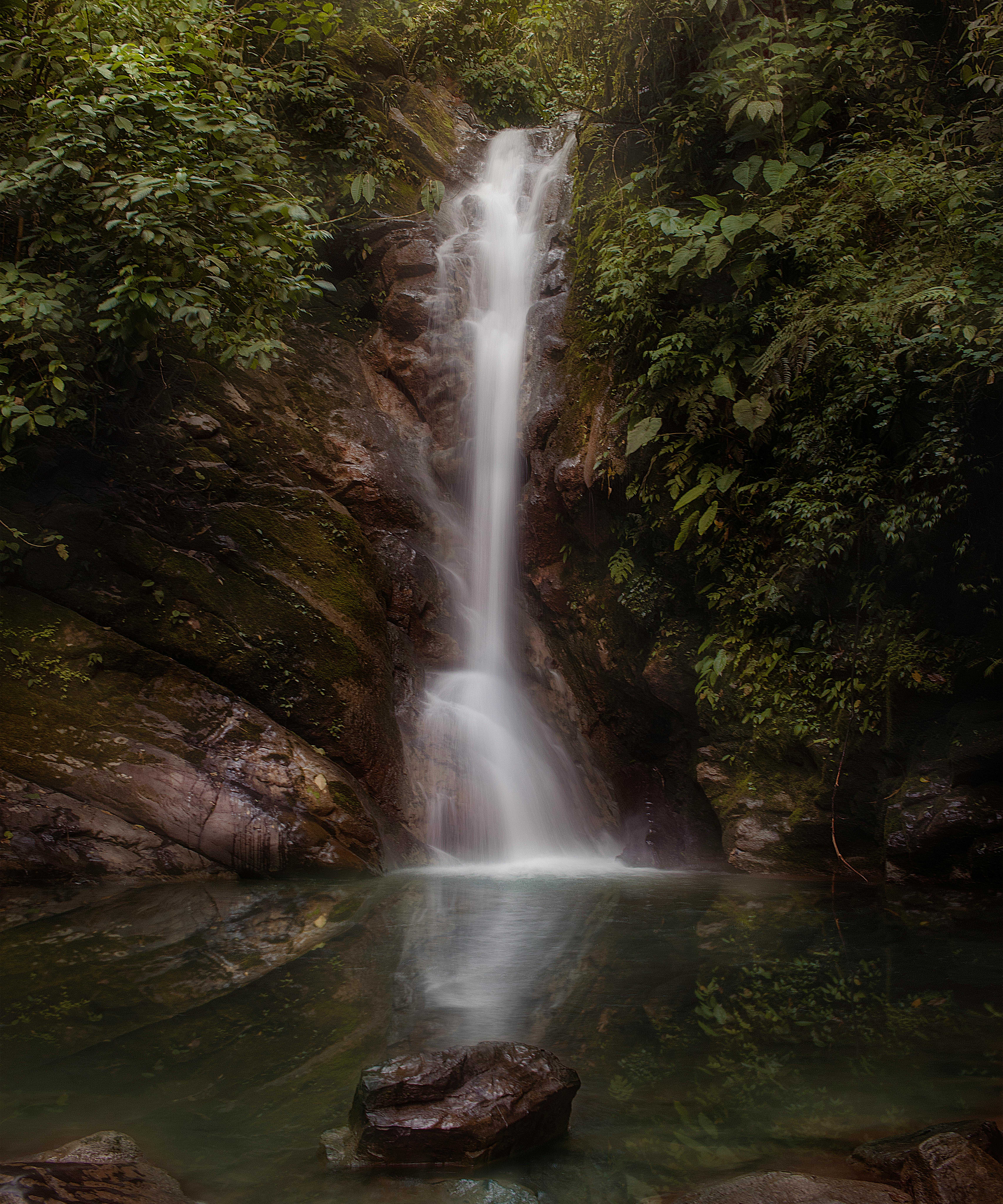 Tingo María