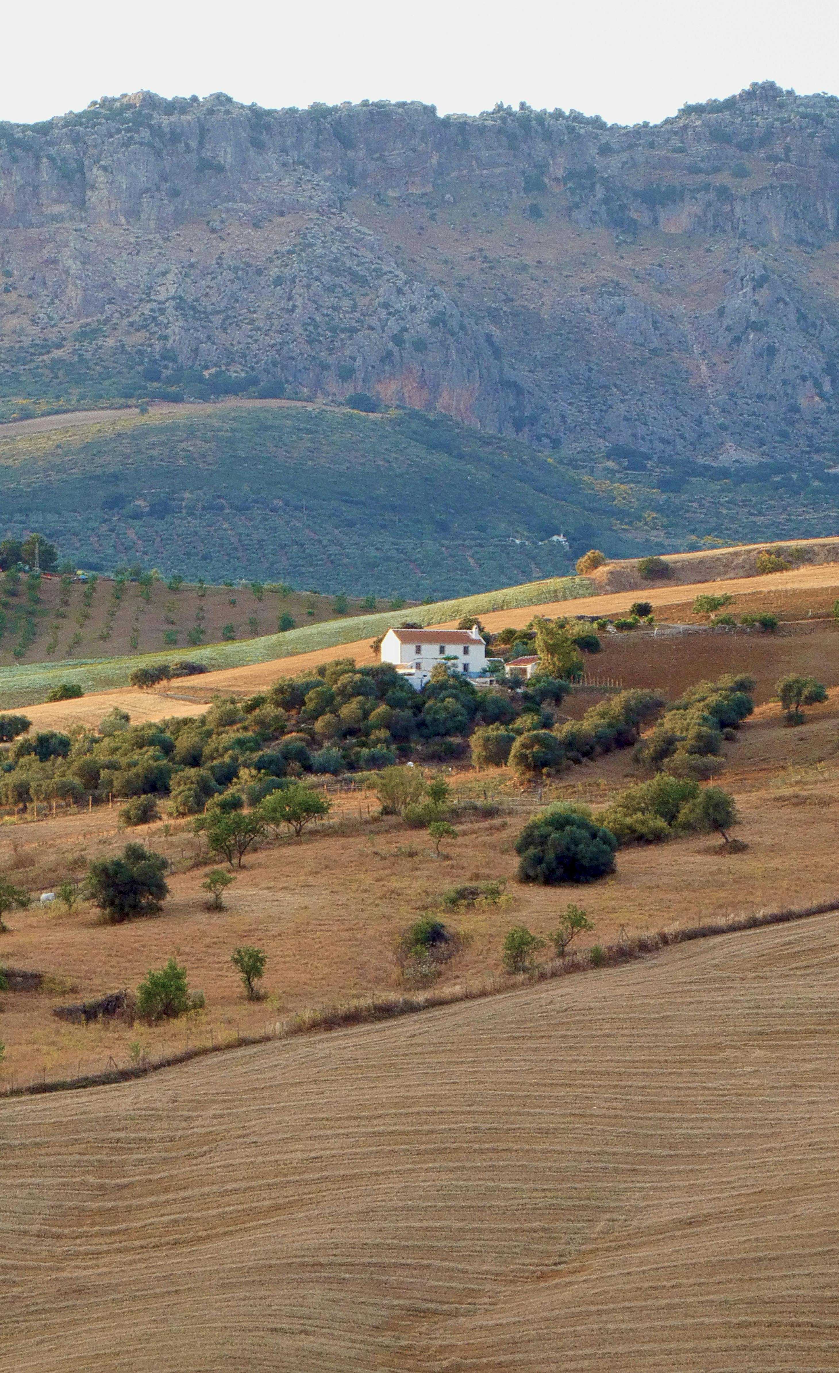 Villanueva del Pardillo